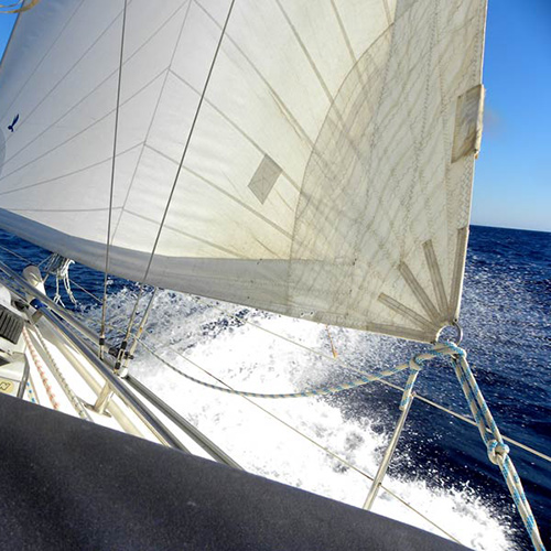 Regata 19-20 febrero