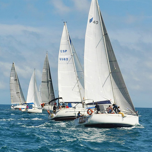 Regata 1 día